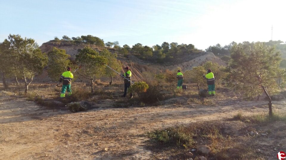 El Ayuntamiento de Aspe pone en marcha el quinto Plan de Empleo de Emergencia Social