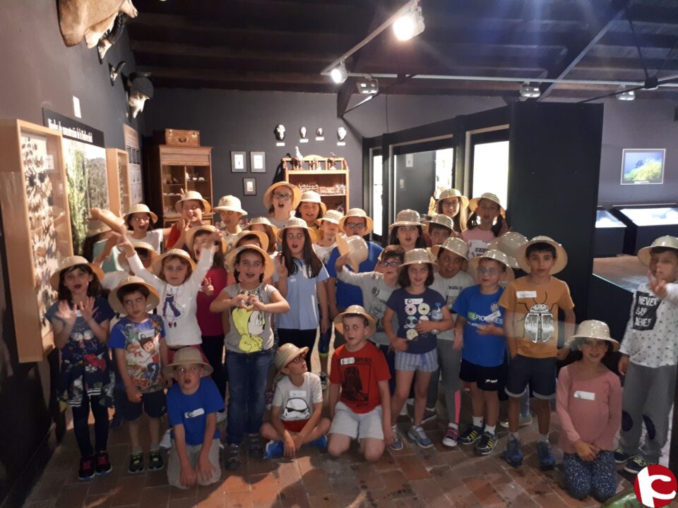 33 niños y niñas disfrutan de una Noche en el Museo de la Biodiversidad de Ibi