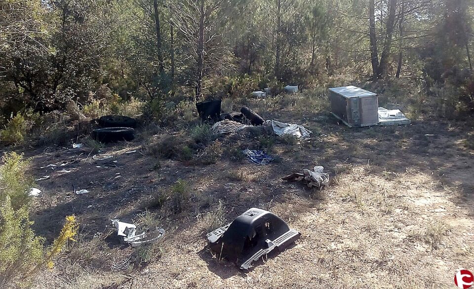 Tercera jornada de voluntariat mediambiental