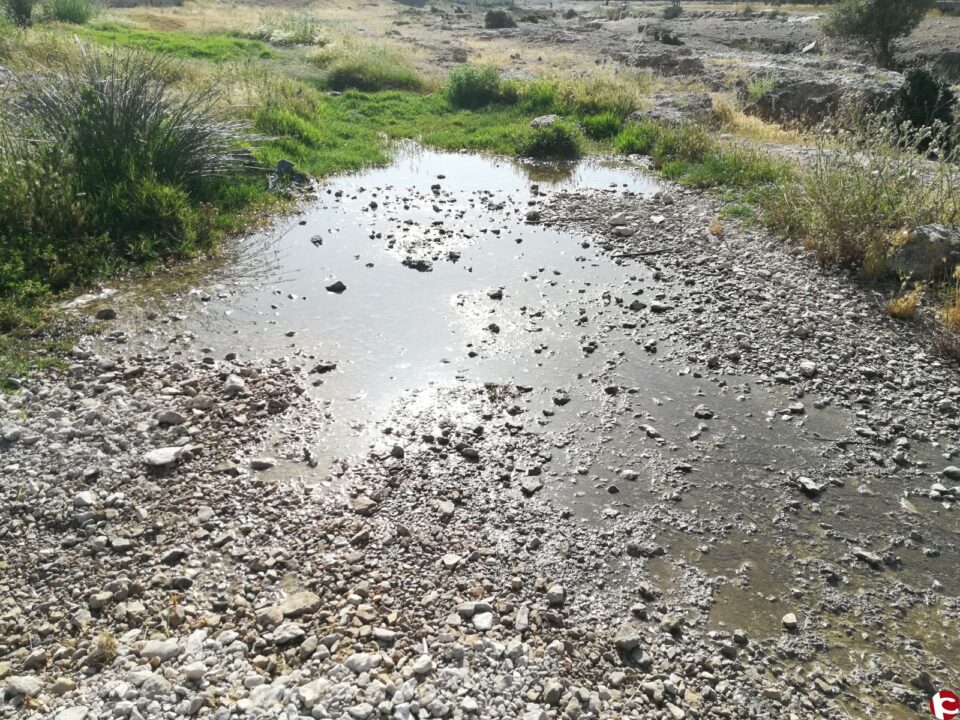 PSOE VILLENA: El PSOE denuncia un vertido de aceite al rio en la zona de la Solana