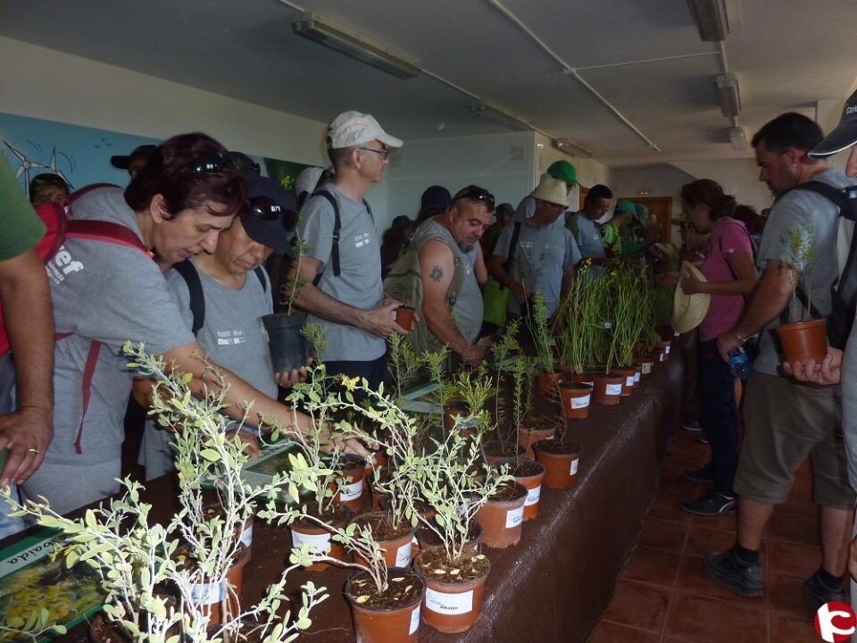 El Medio Ambiente reúne a más de 200 personas de toda la provincia en Petrer