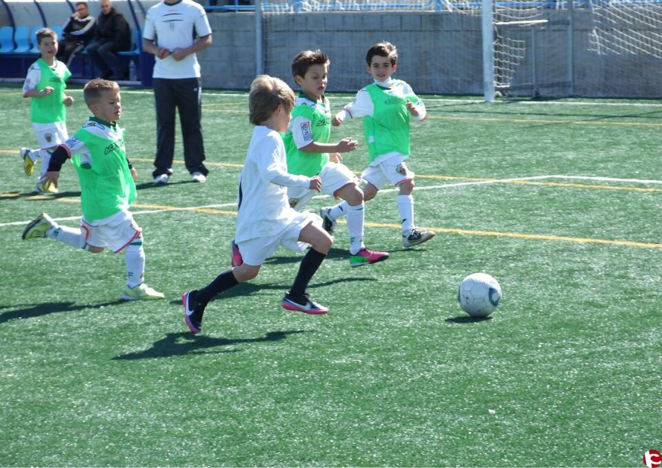 Las Fuentes de Aspe acoge el Torneo de Verano de Benjamines.