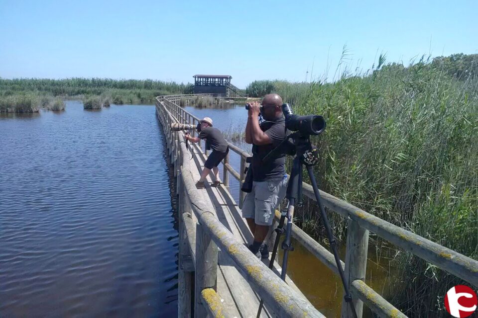 Press Trip Avistamiento Aves