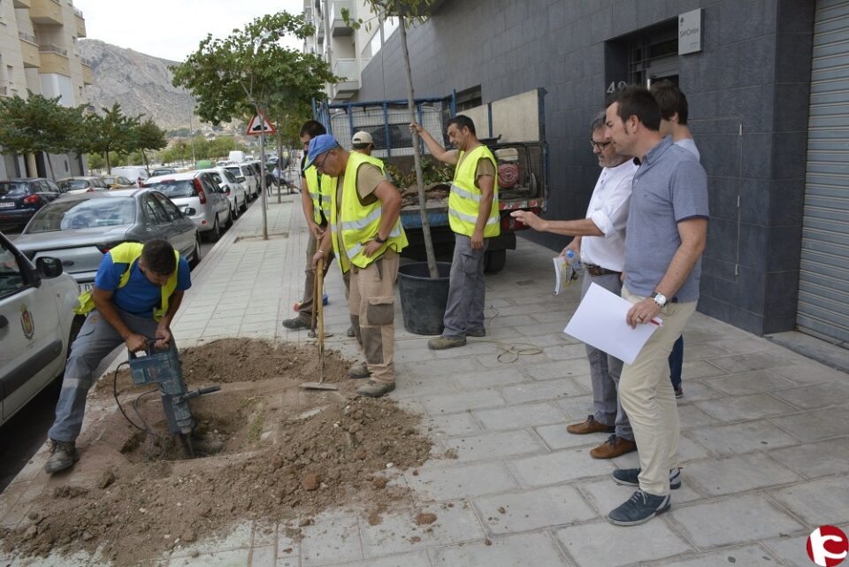 Mantenimiento comienza la repoblación de árboles en la ciudad de Elda.