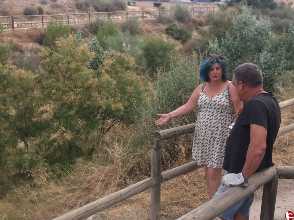 El Ayuntamiento comienzala limpieza de la rambla de Puça
