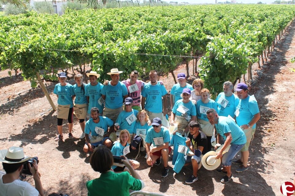 La monfortina Mari Carmen Fernández consigue un nuevo récord embolsado uva de mesa
