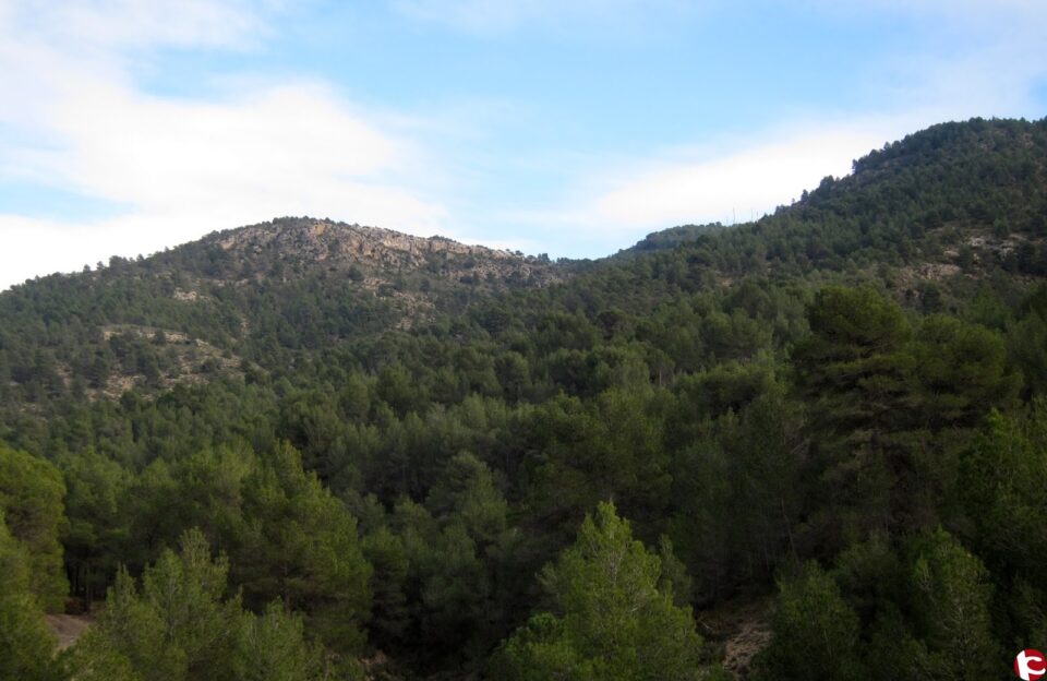 Un senderista després de patir una caiguda en la muntanya és rescatat pels servicis d'emergència