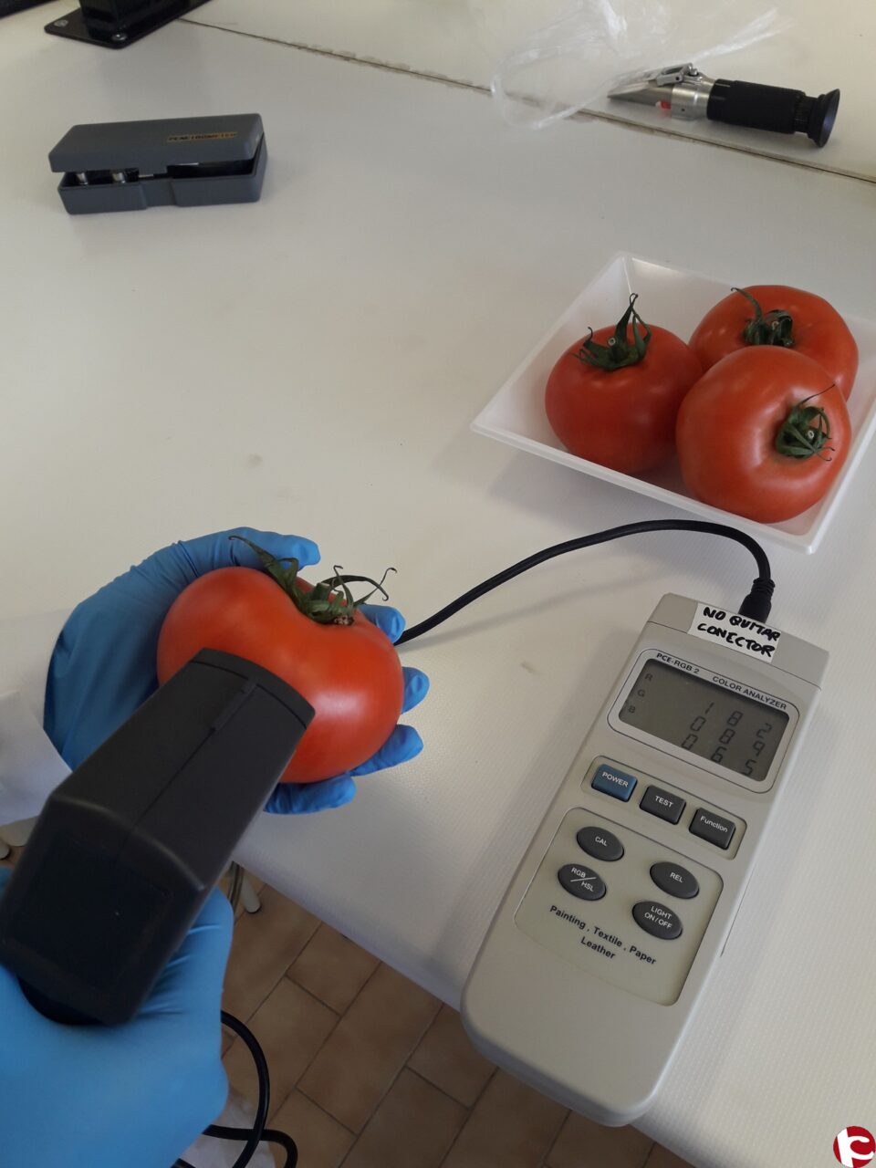 La Universidad de Alicante logra tomates con más antioxidantes