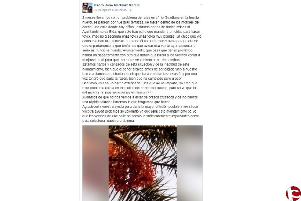 El Grupo Municipal Popular denuncia una plaga de roedores en la calle Guadiana