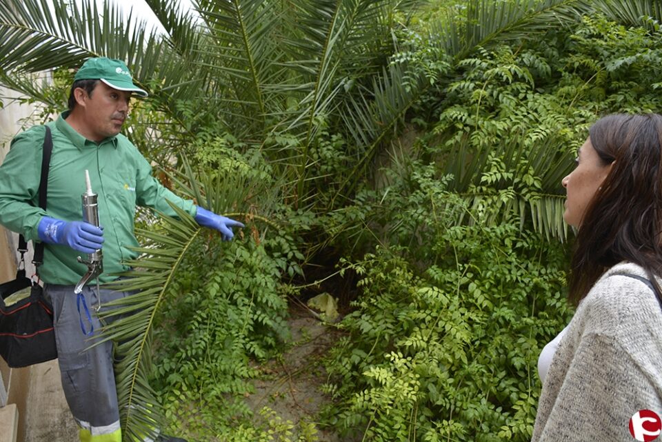 Sanidad y Mantenimiento inician un plan de choque para acabar con la presencia de roedores en la zona de Huerta Nueva