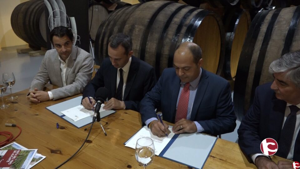 El Patronato Costa Blanca incrementa un 40% su ayuda a la difusión y promoción de la Ruta del Vino de Alicante.