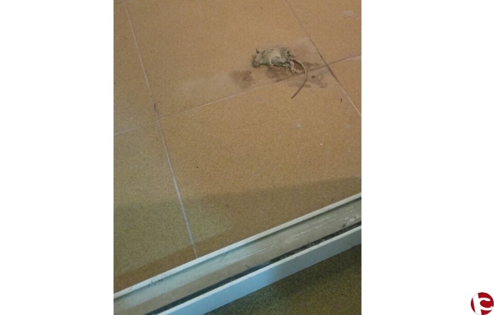 Comunicado del Sindicato de Policías y Bomberos