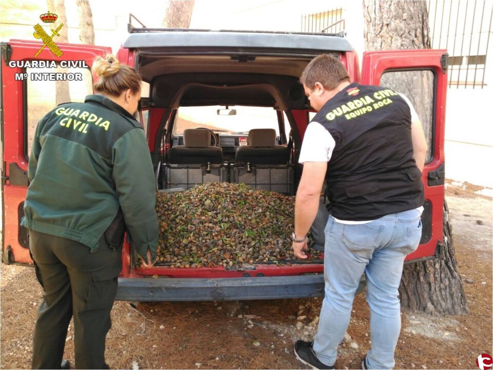La Guardia Civil detiene en Sax a tres miembros de una misma familia por sustraer más de dos toneladas de almendra