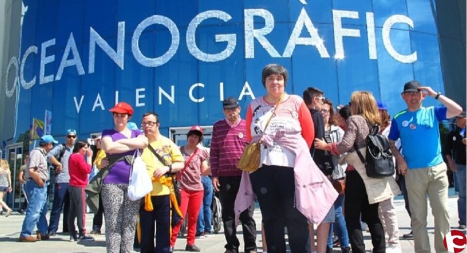 De nuevo la Diputación Provincial de Alicante colabora con APADIS.