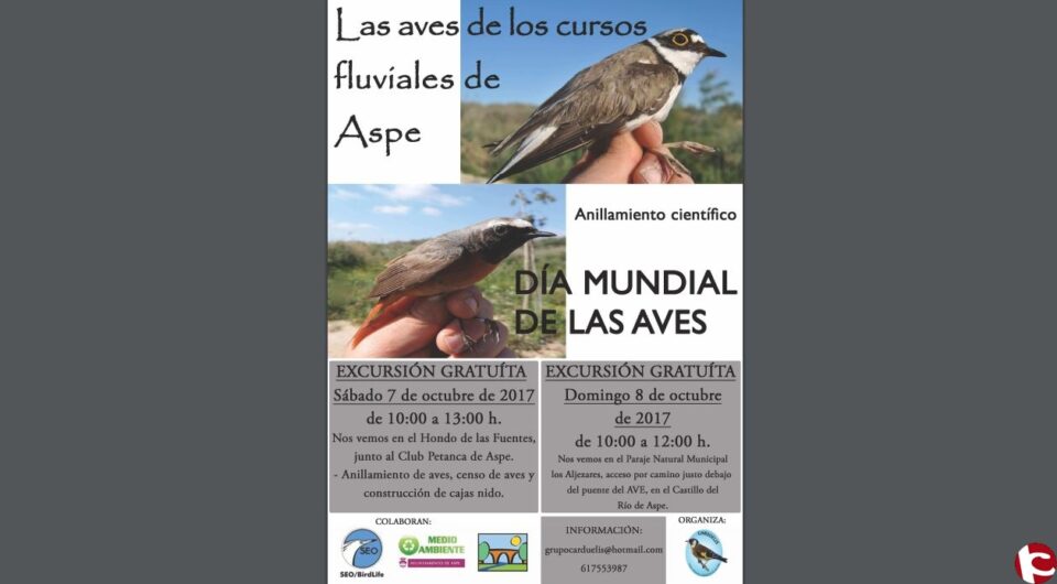 Aspe celebra el Día Mundial de las Aves con dos jornadas de anillamiento