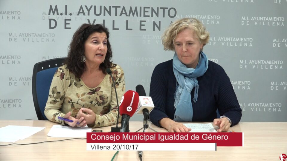 Parte del Consejo de Igualdad disconforme con el uso que se le da a la mujer en la campaña «Regálate una Villena limpia»