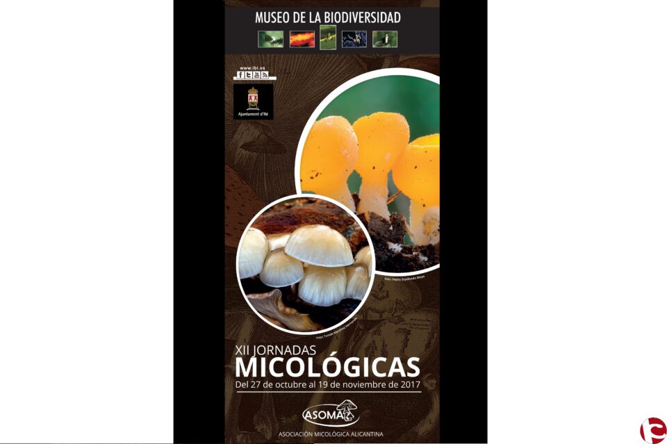 XII Jornadas Micológicas de Ibi