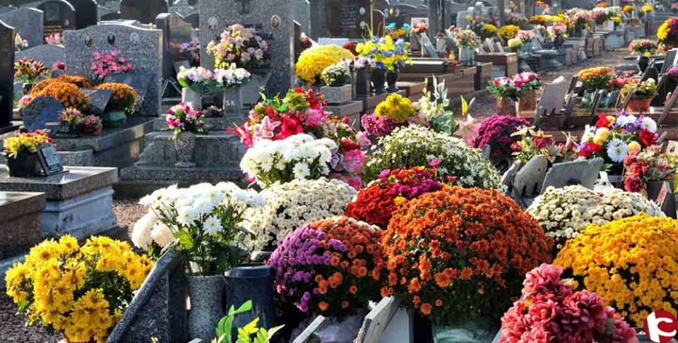 Visita a los cementerios de las poblaciones de las comarcas del Alto y Medio Vinalopó