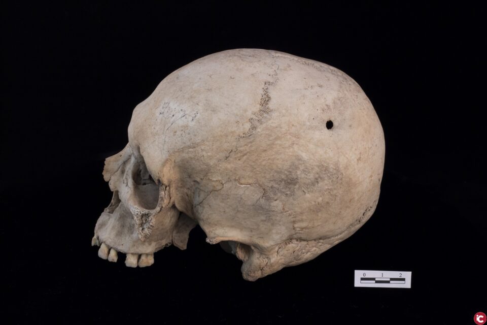 El reconegut forense Francisco Etxeberria analitza en la Universitat d'Alacant la salut i malaltia en personatges històrics com Cervantes