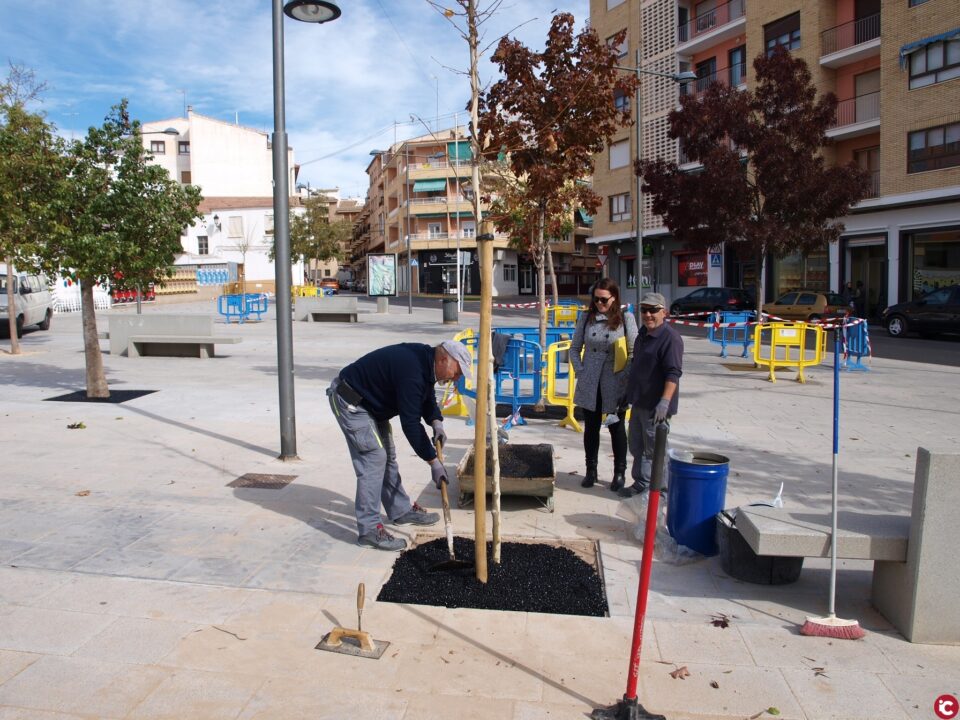 Continúan las actuaciones de mejora en la Plaza de la Libertad