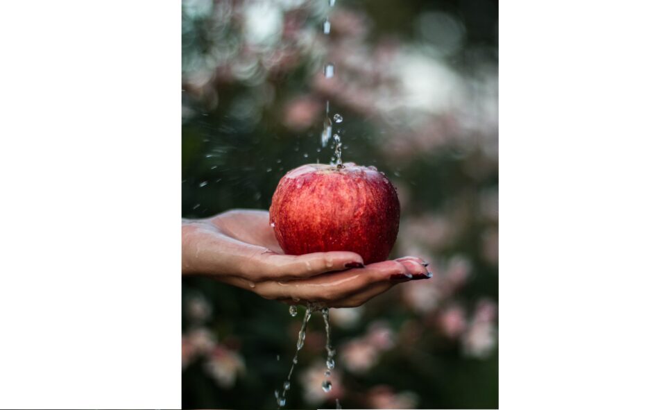 La Universitat dAlacant commemora aquest divendres la festivitat de Sant Albert Magne i el Dia de la Química
