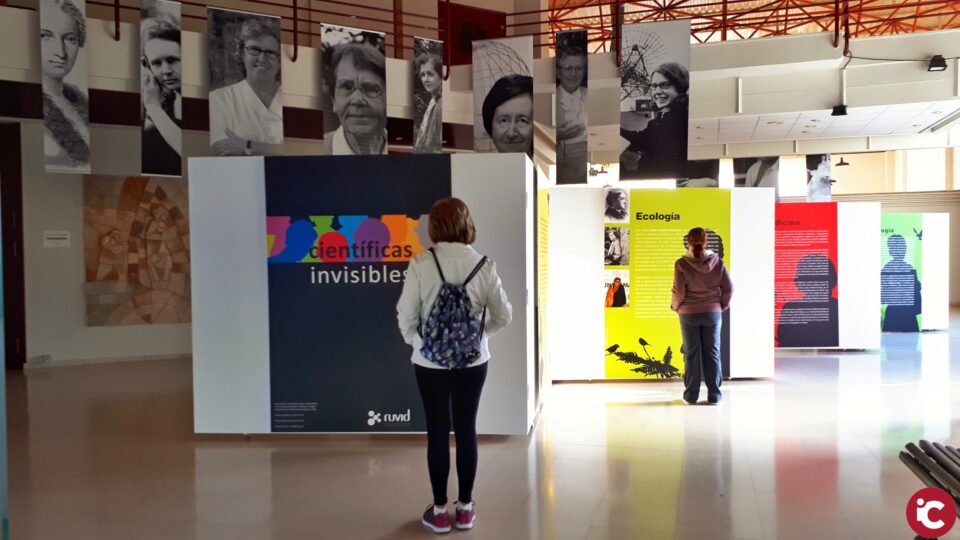 Actividades en Ibi con motivo del - Día Internacional de la Violencia de Género