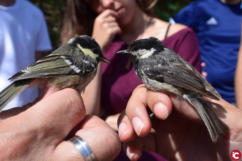Més de 400 persones prenen part en el programa de divulgació científica Viu la Font Roja de la Universitat d'Alacant