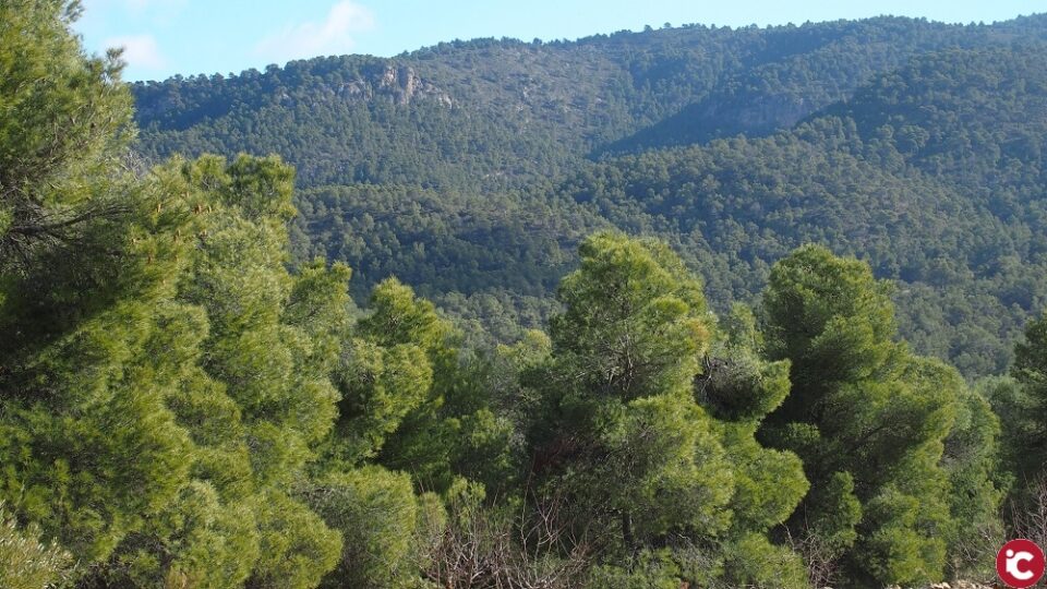 El Secretario Autonómico de Medio Ambiente visita Villena