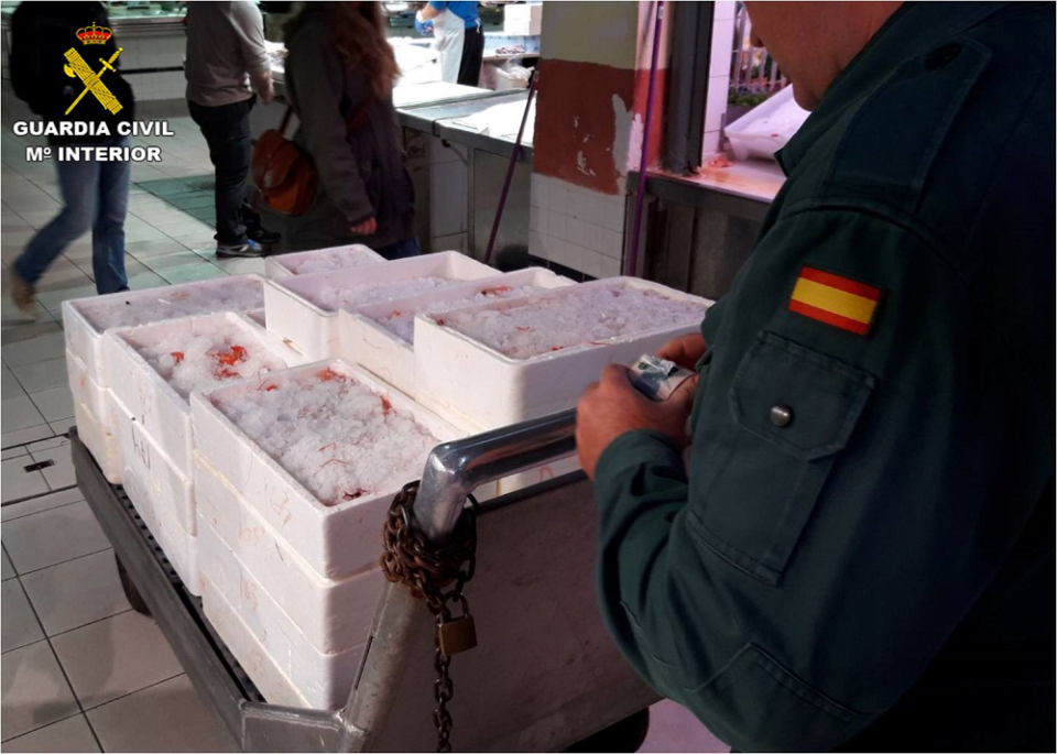 La Guardia Civil de Alicante interviene en la provincia 235 kilos de pescado y marisco por no superar los requisitos para su venta