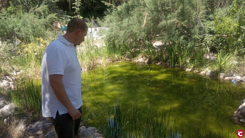 El PP exige que se limpien los solares municipales porque son "un foco de ratas"