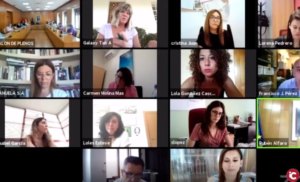 Pleno ordinario del mes de junio