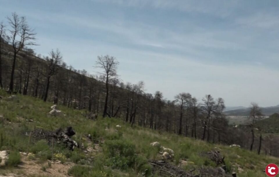 Visita del Alcalde y edil de fiestas a los espacios naturales