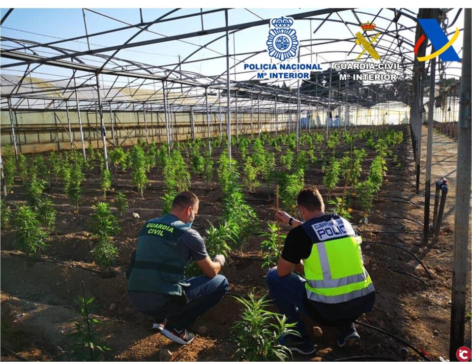 Desmantelada una banda organizada que realizaba envíos de droga por paquetería a través del aeropuerto