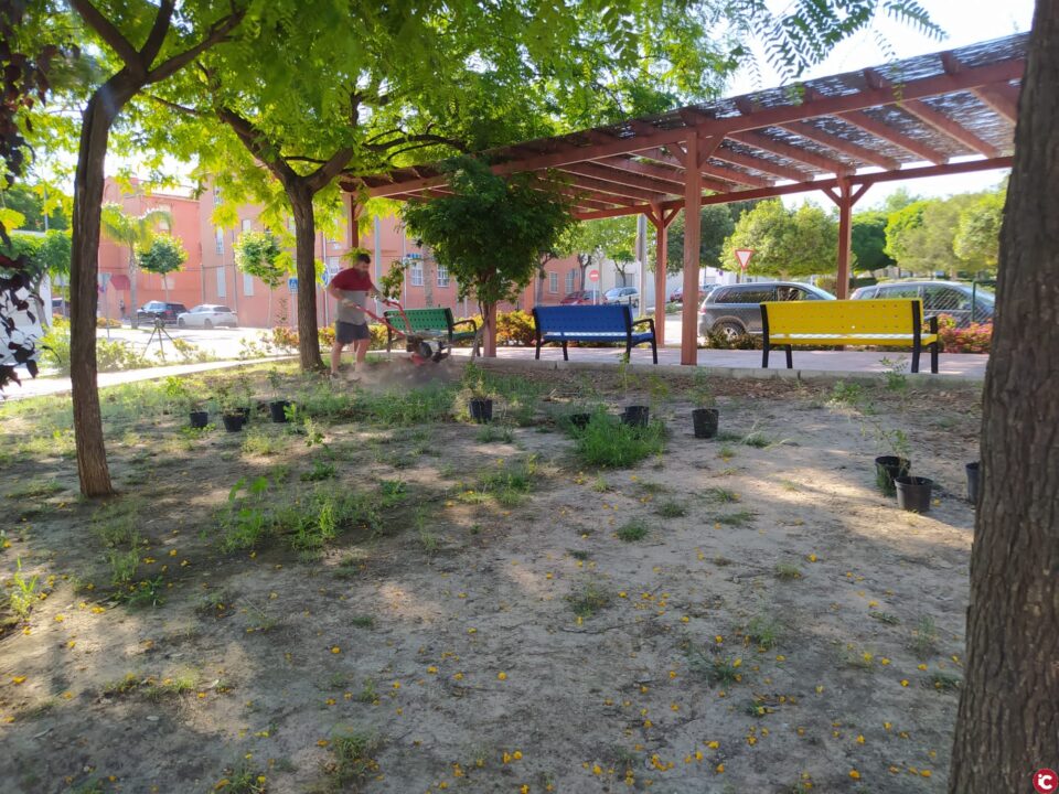 Parques y Jardines repone más de 60 árboles y 600 plantas en los parques y zonas ajardinadas de Aspe