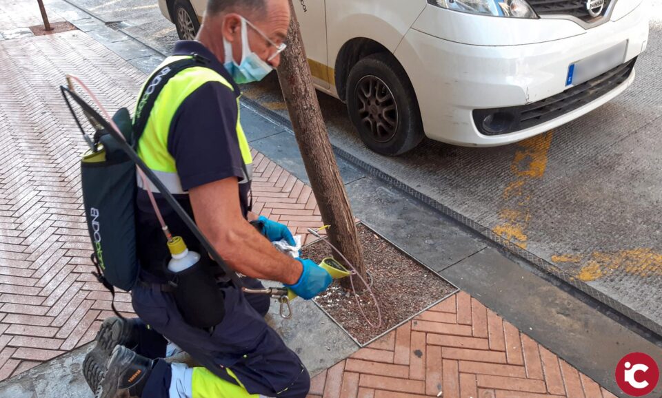 L'Ajuntament d'Alcoi duu a terme tractaments d'endoteràpia vegetal en els arbres