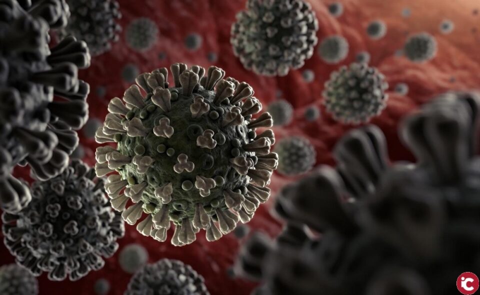 Sanidad registra 2.908 casos nuevos de coronavirus en la Comunitat Valenciana