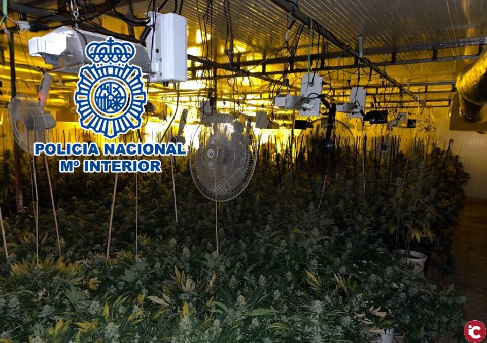 La Policía Nacional desmantela un cultivo indoor en una nave de un polígono industrial de Elche y detiene a tres miembros del entramado criminal