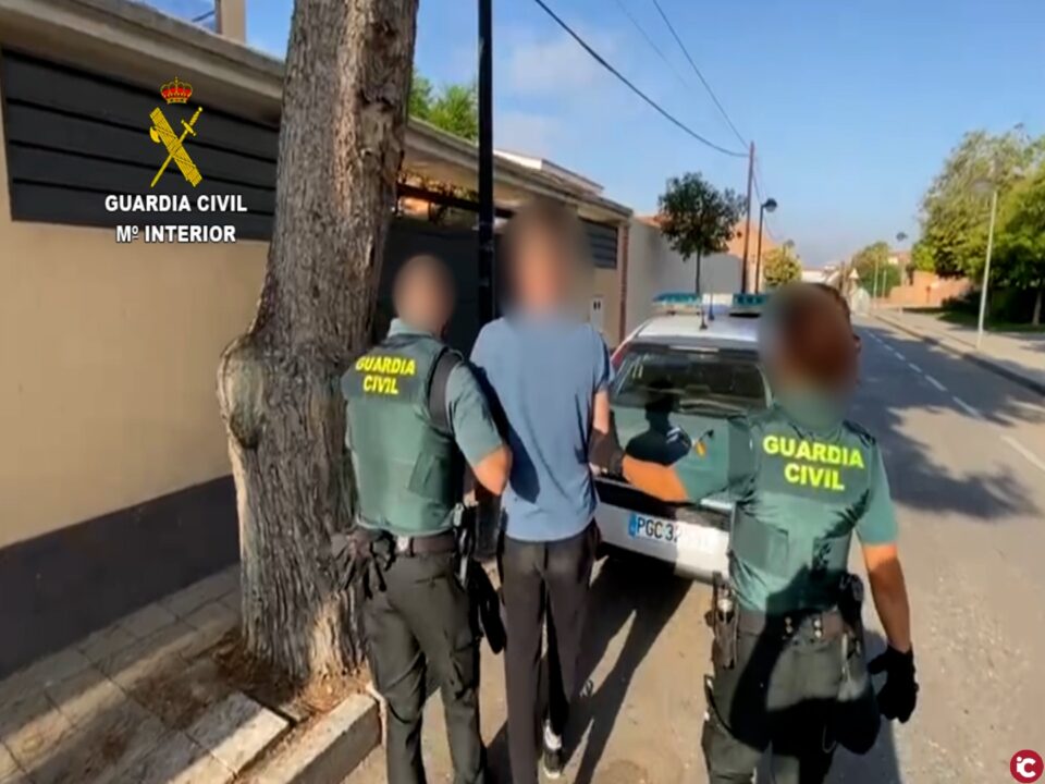 Desarticulada una banda que cultivaba marihuana en Alicante para su exportación al extranjero