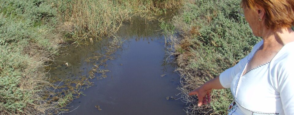 Las ediles Mª Paz Poveda y Virtudes Amorós informan sobre las actuaciones de la acequia del rey