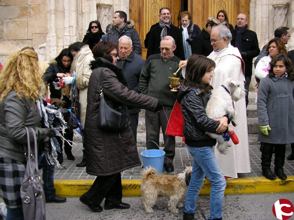 Desfile San Antón Villena