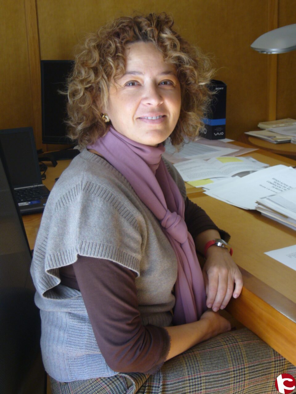 Conferencias de la vicerrectora de Extensión de la UA en Villena y Cocentaina. Josefina Bueno abordará los modelos de mujer en la literatura y en la pintura