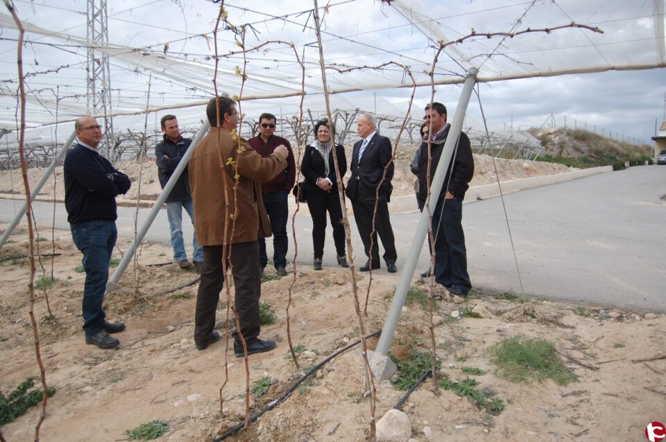 Visita a la Región de Murcia de la alcaldesa junto con agricultores monfortinos para buscar la innovación en la Uva de Mesa