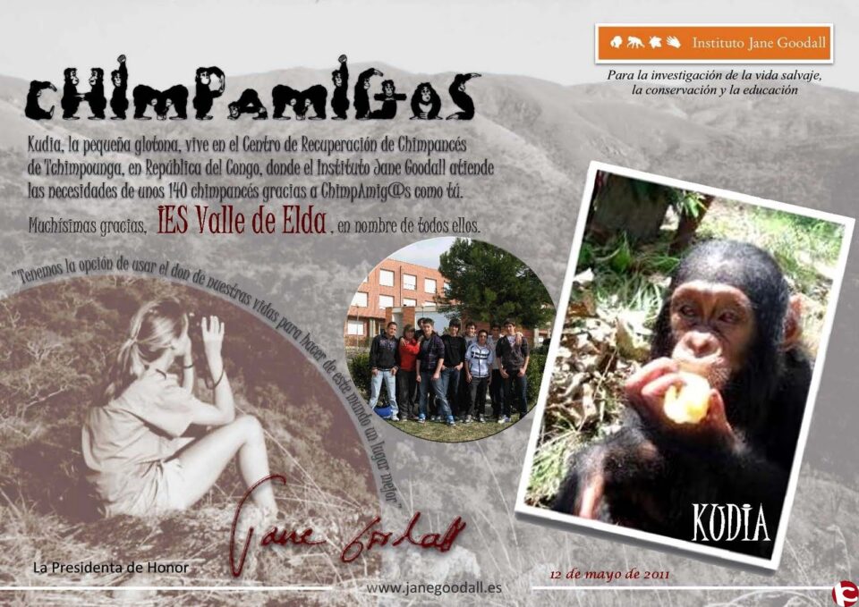 El IES Valle de Elda consigue el apadrinamiento de un Chimpacé y son finalistas del III Concurso Nacional de Ecoiniciativas.
