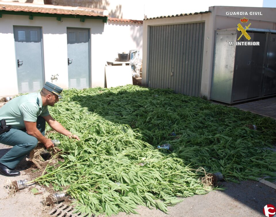 Guardia Civil desmantela dos plantaciones de marihuana