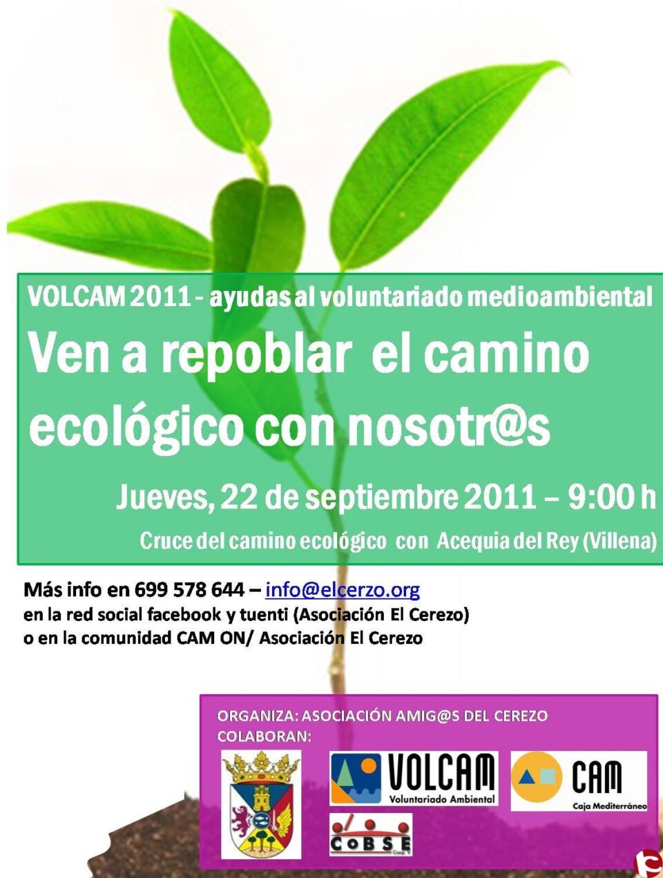 VOLCAM 2011  LA ASOCIACIÓN EL CEREZO REPLANTARÁ EL CAMINO ECOLÓGICO DE VILLENA