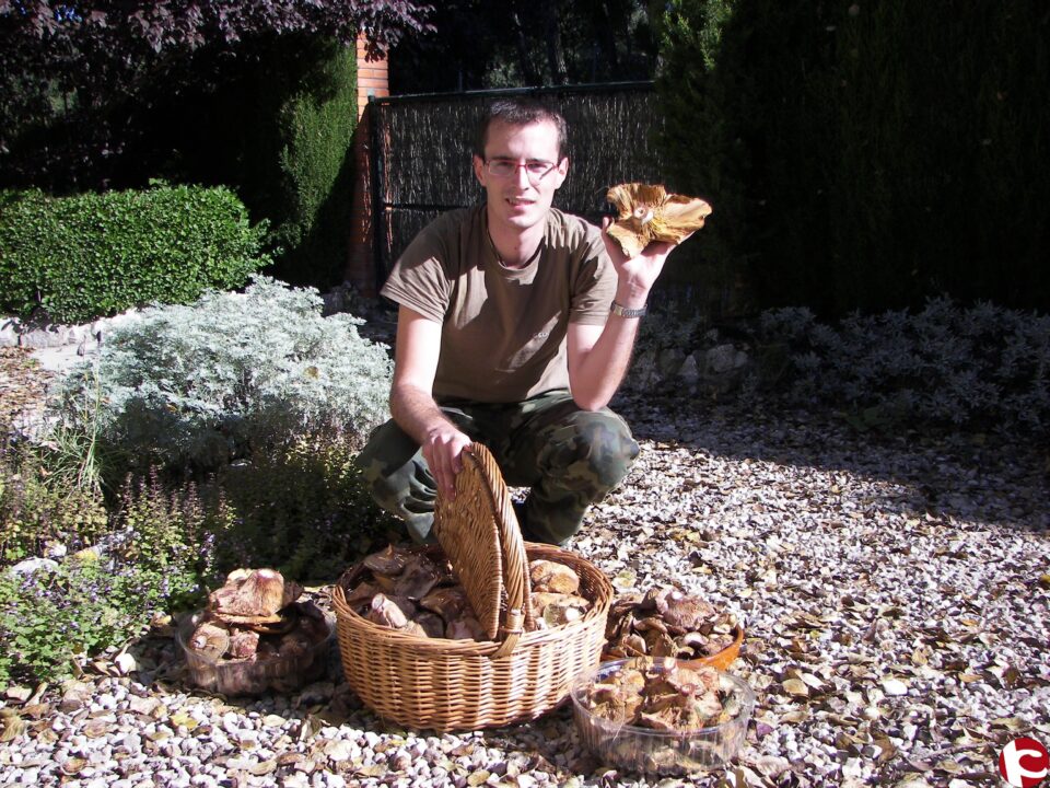 La Universidad de Alicante previene de que los domingueros son una amenaza para las setas