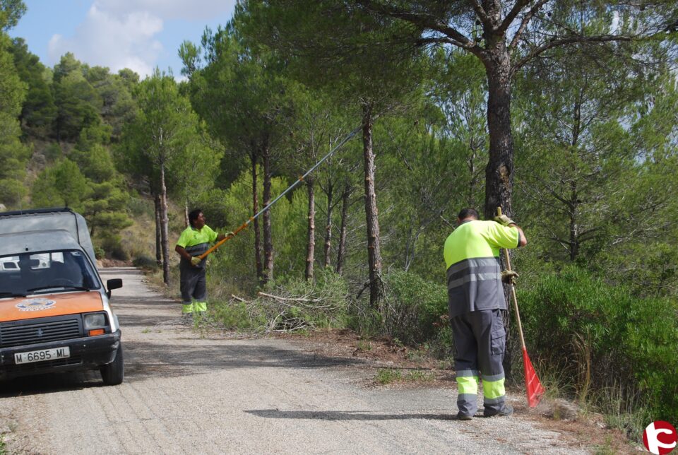 Acondicionamiento del acceso a la Sierra de Salinas para fomentar el empleo