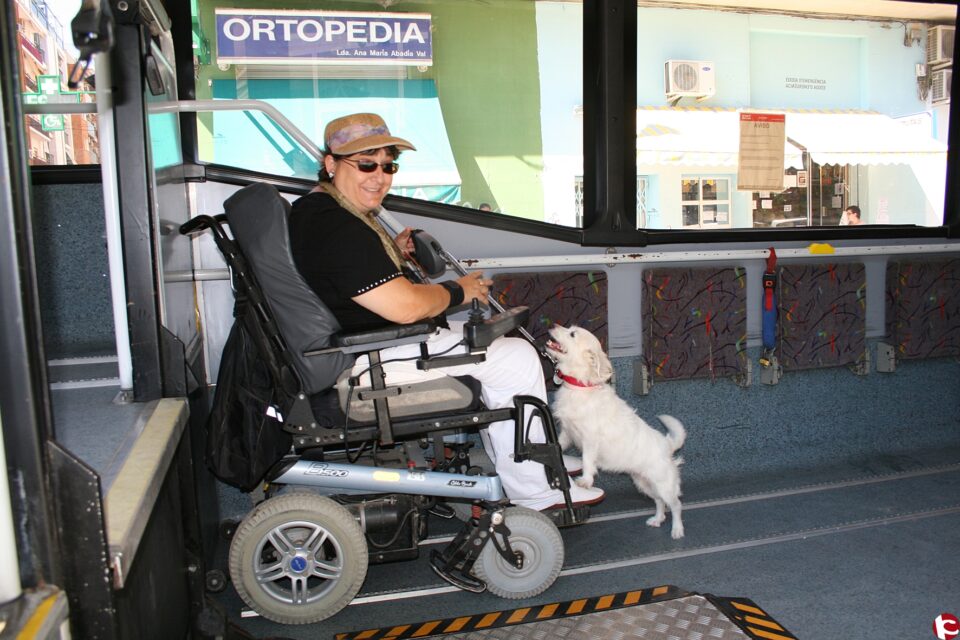 Cocemfe CV lamenta la inoperancia de la EMT para aplicar la Ley sobre Perros de Asistencia