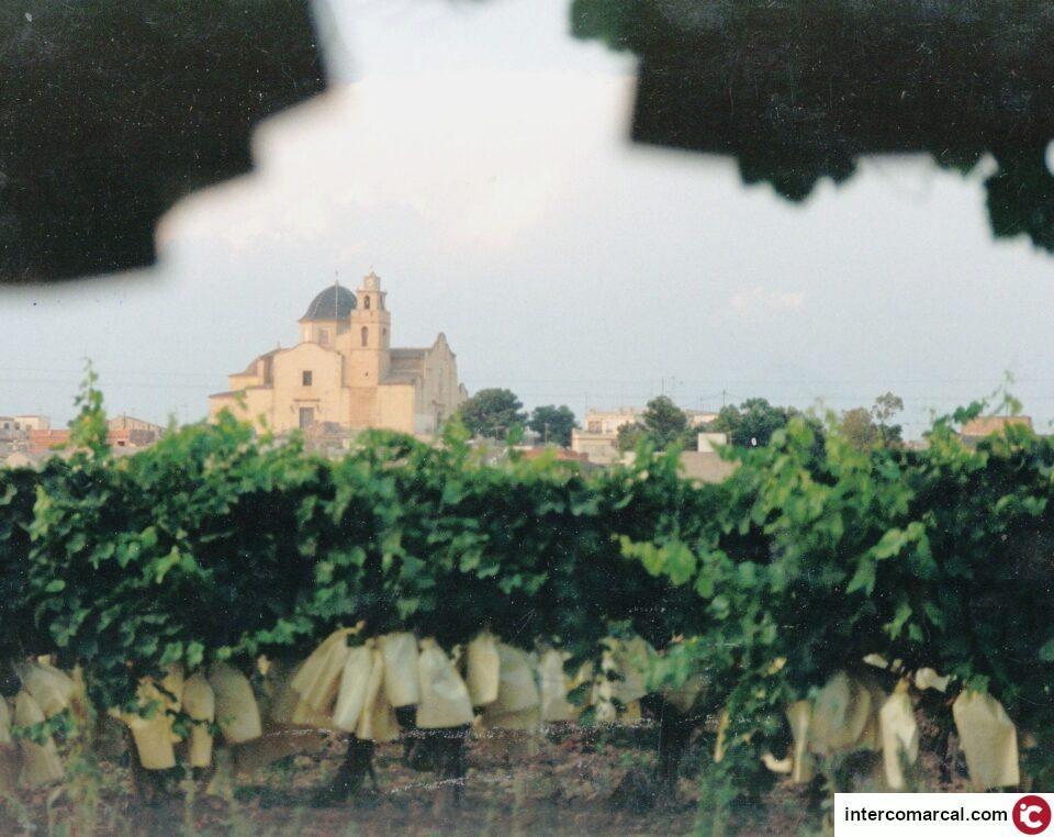 Monforte recicló en 2011 más de 300 toneladas