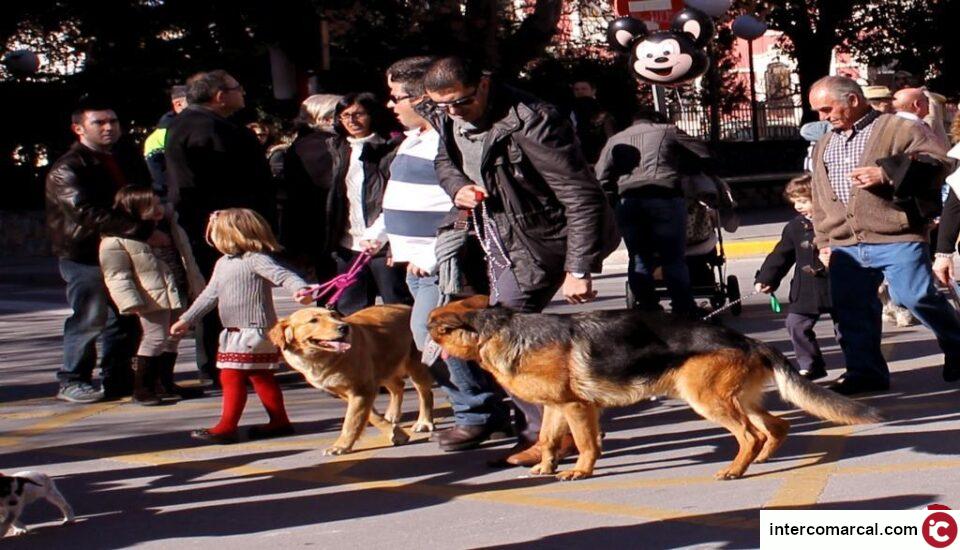 San Antón en fotografías